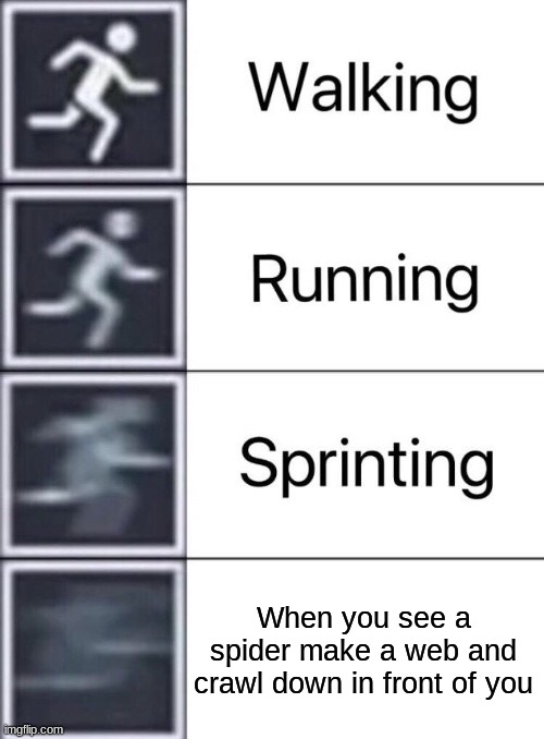 Walking, Running, Sprinting | When you see a spider make a web and crawl down in front of you | image tagged in walking running sprinting | made w/ Imgflip meme maker