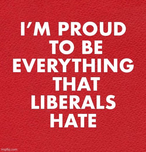 Who else can say the same? | I’M PROUD 
TO BE
EVERYTHING 
THAT
LIBERALS 
HATE | image tagged in blank red card,conservative | made w/ Imgflip meme maker
