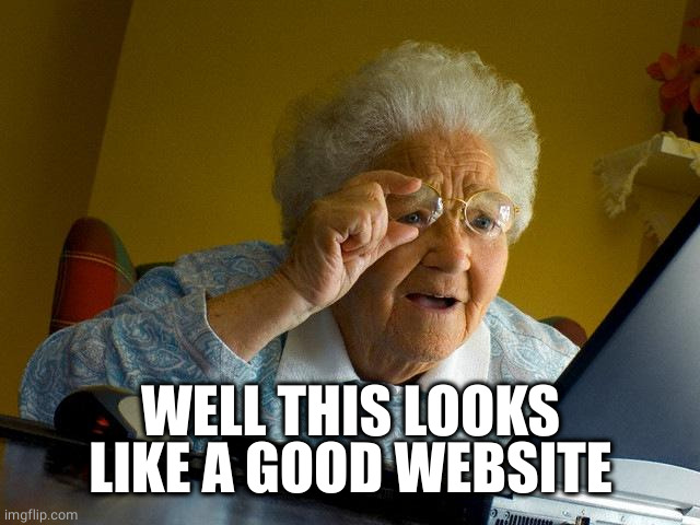 Grandma Finds The Internet Meme | WELL THIS LOOKS LIKE A GOOD WEBSITE | image tagged in memes,grandma finds the internet | made w/ Imgflip meme maker