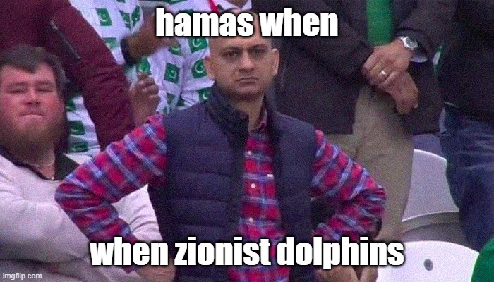 Angry Pakistani Fan | hamas when; when zionist dolphins | image tagged in angry pakistani fan | made w/ Imgflip meme maker