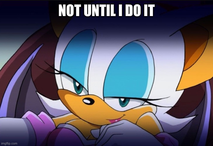 Rouge the Bat Sonic Meme | NOT UNTIL I DO IT | image tagged in rouge the bat sonic meme | made w/ Imgflip meme maker