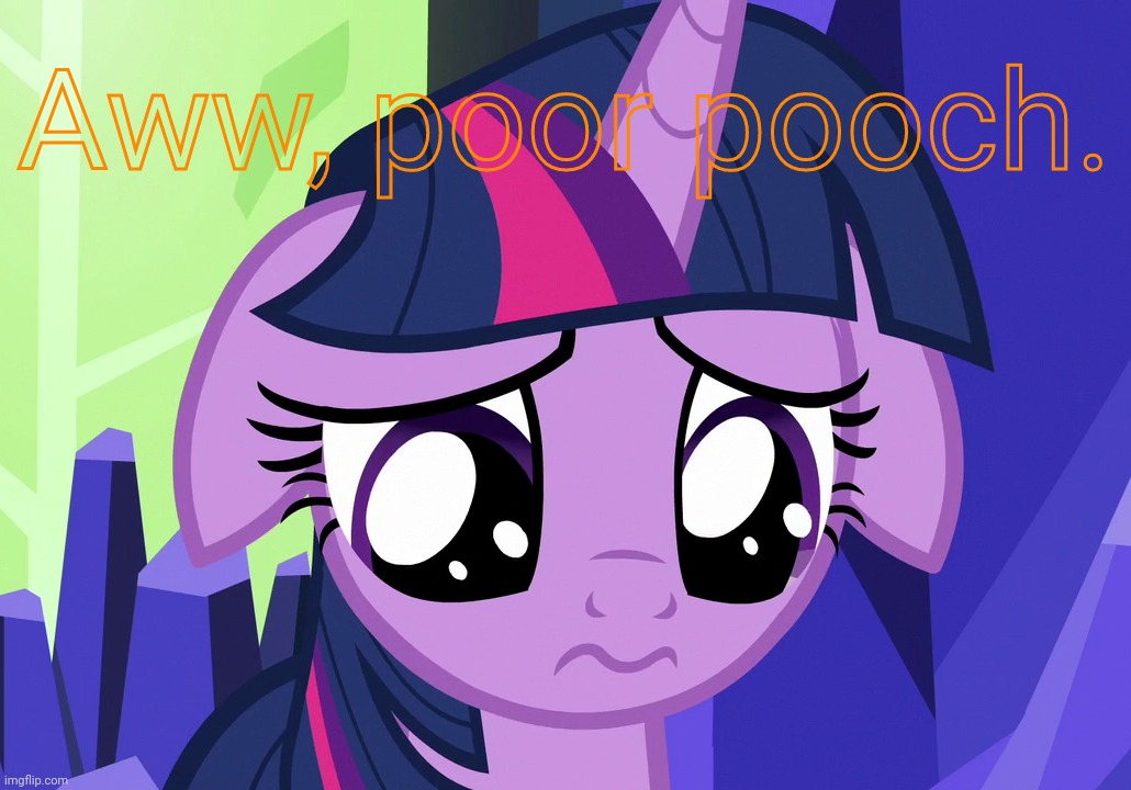 Sad Twilight (MLP) | Aww, poor pooch. | image tagged in sad twilight mlp | made w/ Imgflip meme maker