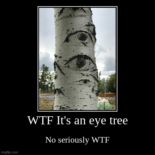 WTF Tree #2 | image tagged in funny,demotivationals | made w/ Imgflip demotivational maker