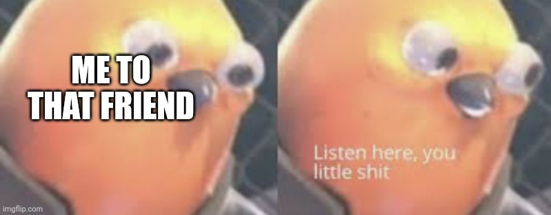 Listen here you little shit bird | ME TO THAT FRIEND | image tagged in listen here you little shit bird | made w/ Imgflip meme maker