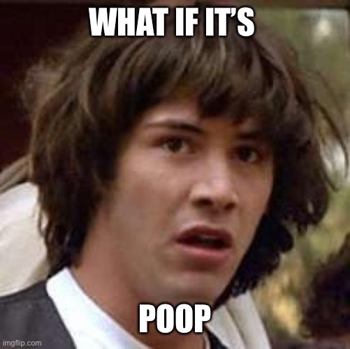 Conspiracy Keanu Meme | WHAT IF IT’S POOP | image tagged in memes,conspiracy keanu | made w/ Imgflip meme maker