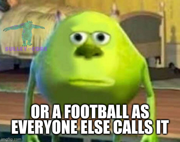 Monsters Inc | OR A FOOTBALL AS EVERYONE ELSE CALLS IT | image tagged in monsters inc | made w/ Imgflip meme maker
