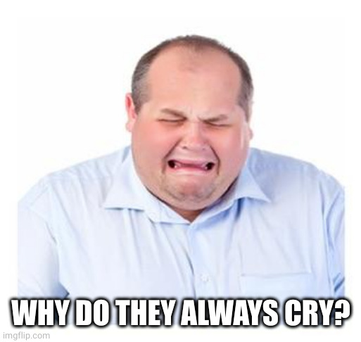 Crying Man | WHY DO THEY ALWAYS CRY? | image tagged in crying man | made w/ Imgflip meme maker