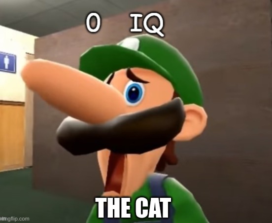 0 iq | THE CAT | image tagged in 0 iq | made w/ Imgflip meme maker