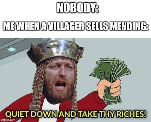 NOBODY:; ME WHEN A VILLAGER SELLS MENDING: | image tagged in blank white template,quiet down and take thy riches | made w/ Imgflip meme maker