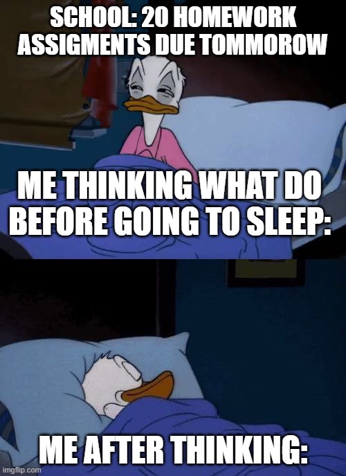 :] | SCHOOL: 20 HOMEWORK ASSIGMENTS DUE TOMMOROW; ME THINKING WHAT DO BEFORE GOING TO SLEEP:; ME AFTER THINKING: | image tagged in donald duck wake up | made w/ Imgflip meme maker