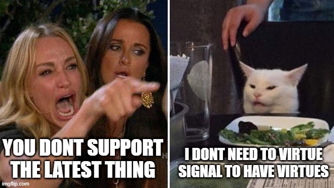 Angry lady cat | YOU DONT SUPPORT THE LATEST THING; I DONT NEED TO VIRTUE SIGNAL TO HAVE VIRTUES | image tagged in angry lady cat | made w/ Imgflip meme maker
