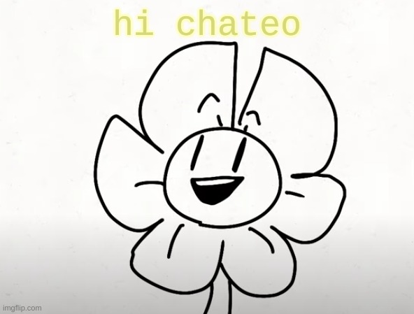 . | hi chateo | made w/ Imgflip meme maker