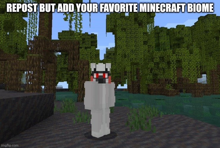 That's my minecraft skin in the image | REPOST BUT ADD YOUR FAVORITE MINECRAFT BIOME | made w/ Imgflip meme maker