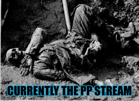 well rotting corpse | CURRENTLY THE PP STREAM | image tagged in well rotting corpse | made w/ Imgflip meme maker