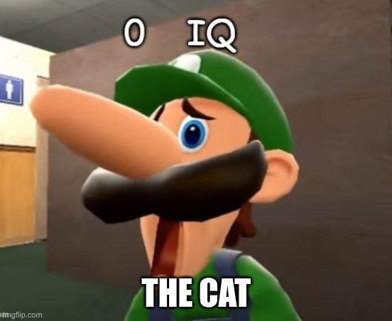 0 iq | THE CAT | image tagged in 0 iq | made w/ Imgflip meme maker