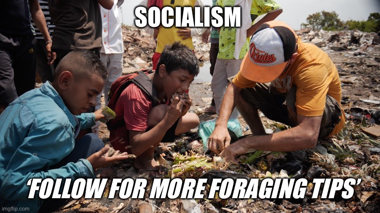 Socialism |  SOCIALISM; ‘FOLLOW FOR MORE FORAGING TIPS’ | image tagged in socialism,marxism,hunger | made w/ Imgflip meme maker