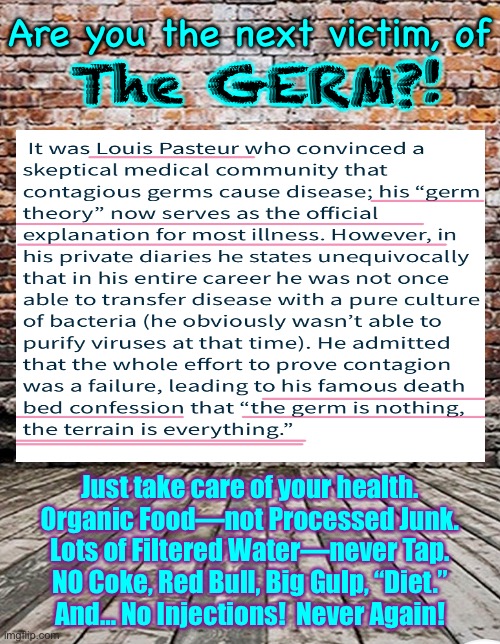 These theories sound familiar?  Germ - Terrain — Does it even matter?  What do You think? | Are you the next victim, of; The GERM?! Just take care of your health.
Organic Food—not Processed Junk.
Lots of Filtered Water—never Tap.
NO Coke, Red Bull, Big Gulp, “Diet.”
And… No Injections!  Never Again! | image tagged in memes,there is good health,and bad health,everything you do makes a difference,you pay now or you pay later,its all up to you | made w/ Imgflip meme maker