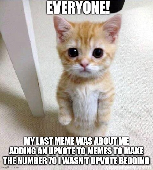 Cute Cat | EVERYONE! MY LAST MEME WAS ABOUT ME ADDING AN UPVOTE TO MEMES TO MAKE THE NUMBER 70 I WASN'T UPVOTE BEGGING | image tagged in memes,cute cat | made w/ Imgflip meme maker