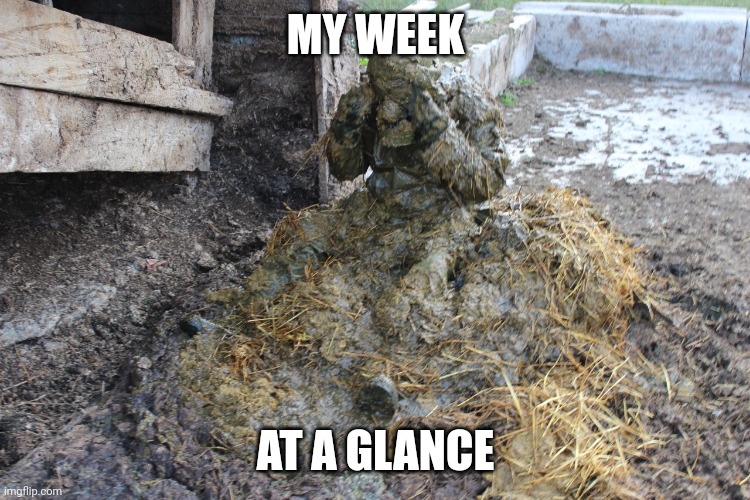 Covered in shit | MY WEEK; AT A GLANCE | image tagged in covered in shit | made w/ Imgflip meme maker