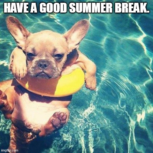 Summer is here dog pug |  HAVE A GOOD SUMMER BREAK. | image tagged in summer is here dog pug | made w/ Imgflip meme maker