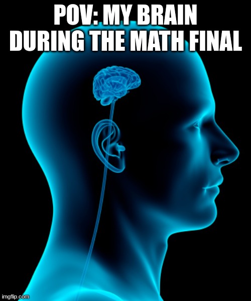 I got a A in math class and then my brain just shrinks when a math final is here | POV: MY BRAIN DURING THE MATH FINAL | image tagged in small brain,relate | made w/ Imgflip meme maker