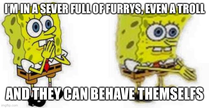 Just to let you know a group of furries acts more mature then msmg | I’M IN A SEVER FULL OF FURRYS, EVEN A TROLL; AND THEY CAN BEHAVE THEMSELFS | image tagged in spongebob inhale boi | made w/ Imgflip meme maker