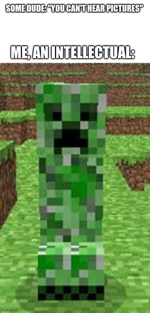 Creeper, aww man! | SOME DUDE: "YOU CAN'T HEAR PICTURES"; ME, AN INTELLECTUAL: | image tagged in creeper | made w/ Imgflip meme maker