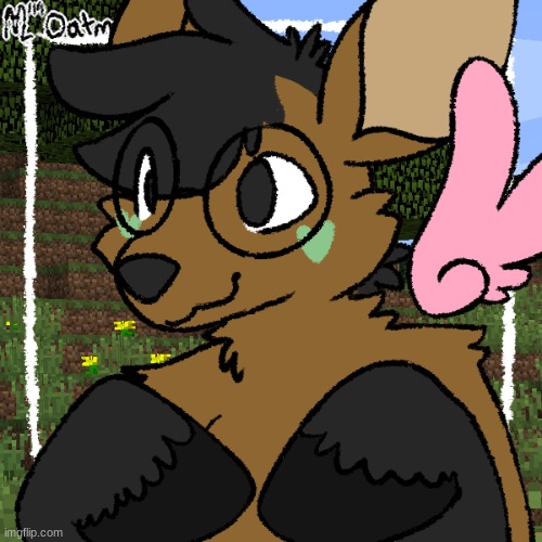 swacey fwursona | image tagged in swacey fwursona | made w/ Imgflip meme maker