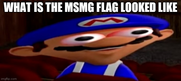 smg4 stare | WHAT IS THE MSMG FLAG LOOKED LIKE | image tagged in smg4 stare | made w/ Imgflip meme maker
