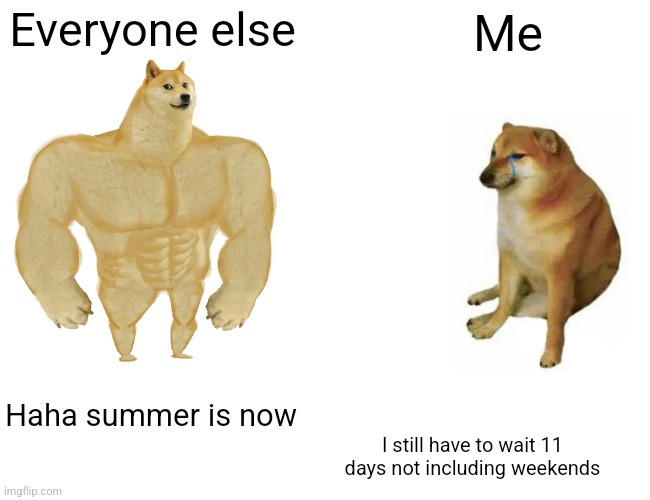 WHYYYYGY | Everyone else; Me; Haha summer is now; I still have to wait 11 days not including weekends | image tagged in memes,buff doge vs cheems | made w/ Imgflip meme maker