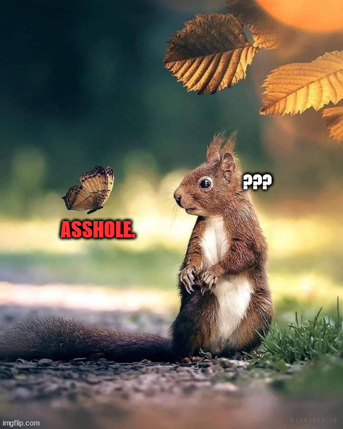 Nature Be Hatin' Squirrels... |  ??? ASSHOLE. | image tagged in squirrel,butterfly,beautiful nature,funny animals,satan,hate | made w/ Imgflip meme maker