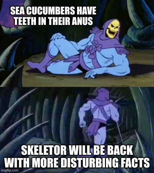 and they are related to starfish | SEA CUCUMBERS HAVE TEETH IN THEIR ANUS; SKELETOR WILL BE BACK WITH MORE DISTURBING FACTS | image tagged in skeletor disturbing facts | made w/ Imgflip meme maker