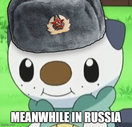 otter, meanwhile in russia | MEANWHILE IN RUSSIA | image tagged in oshawott russia,otter,oshawott,i will offend everyone,trump russia collusion,meanwhile in russia | made w/ Imgflip meme maker