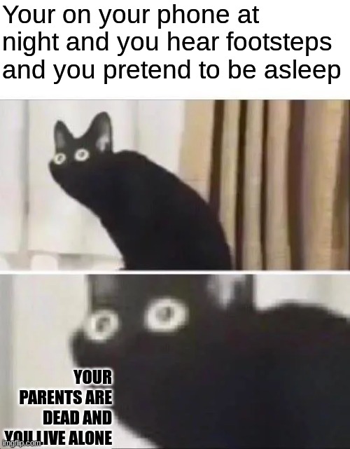 Oh No Black Cat | Your on your phone at night and you hear footsteps and you pretend to be asleep; YOUR PARENTS ARE DEAD AND YOU LIVE ALONE | image tagged in oh no black cat | made w/ Imgflip meme maker