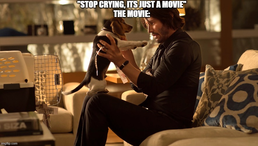 mi imag | "STOP CRYING, ITS JUST A MOVIE"
THE MOVIE: | image tagged in john wick | made w/ Imgflip meme maker