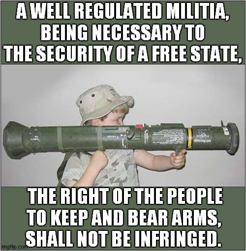 Is This The Logical Conclusion To The Second Amendment ? | A WELL REGULATED MILITIA,
BEING NECESSARY TO THE SECURITY OF A FREE STATE, THE RIGHT OF THE PEOPLE
 TO KEEP AND BEAR ARMS, 
SHALL NOT BE INFRINGED. | image tagged in the second amendment,dark humour | made w/ Imgflip meme maker