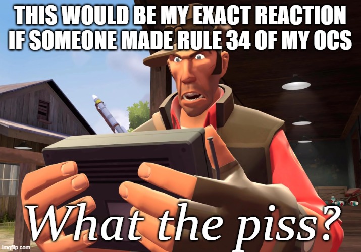 What the piss? | THIS WOULD BE MY EXACT REACTION IF SOMEONE MADE RULE 34 OF MY OCS | image tagged in what the piss | made w/ Imgflip meme maker