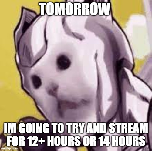 Killer cat | TOMORROW; IM GOING TO TRY AND STREAM FOR 12+ HOURS OR 14 HOURS | image tagged in killer cat | made w/ Imgflip meme maker