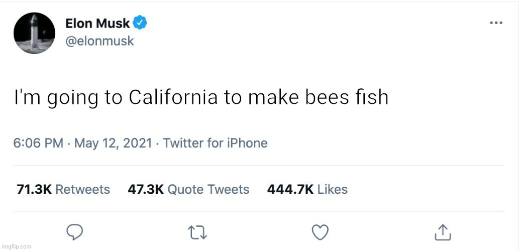 Oh wait | I'm going to California to make bees fish | image tagged in elon musk blank tweet | made w/ Imgflip meme maker