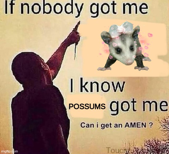 If nobody got me blank | POSSUMS | image tagged in if nobody got me blank | made w/ Imgflip meme maker