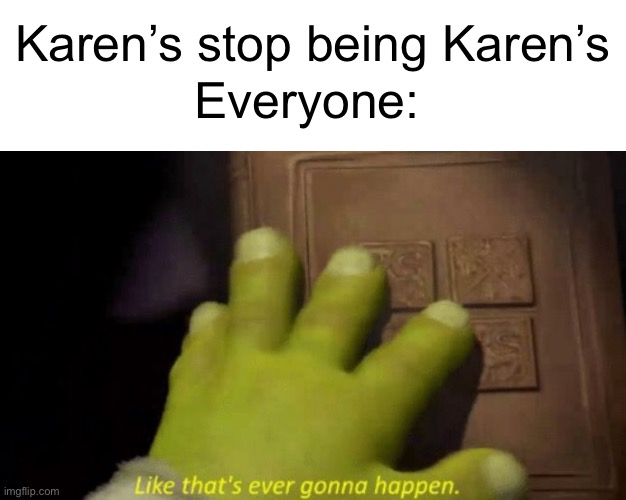 Karen’s stop being Karen’s; Everyone: | image tagged in blank white template,like that's ever gonna happen,karens | made w/ Imgflip meme maker