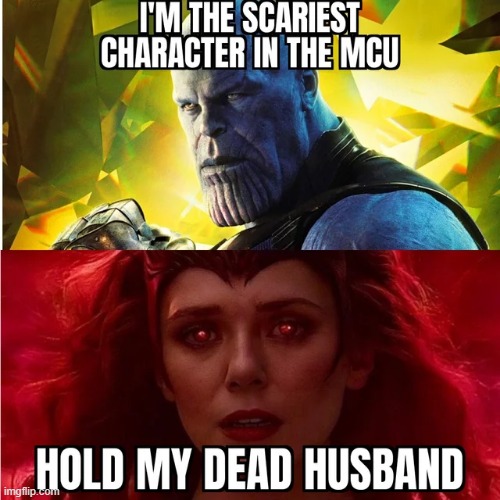 If You Saw the Movie... | image tagged in wandavision,dr strange,thanos | made w/ Imgflip meme maker