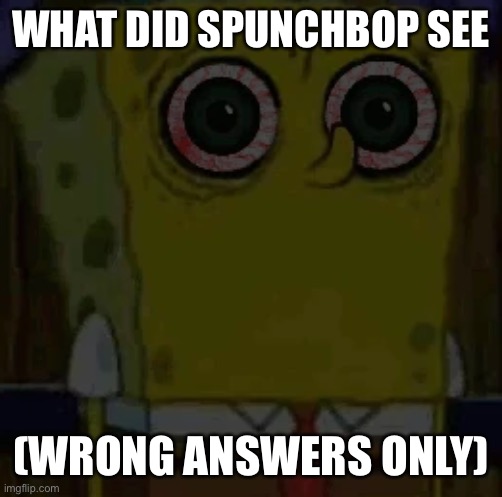 WHAT DID SPUNCHBOP SEE; (WRONG ANSWERS ONLY) | image tagged in spongebob bootleg | made w/ Imgflip meme maker