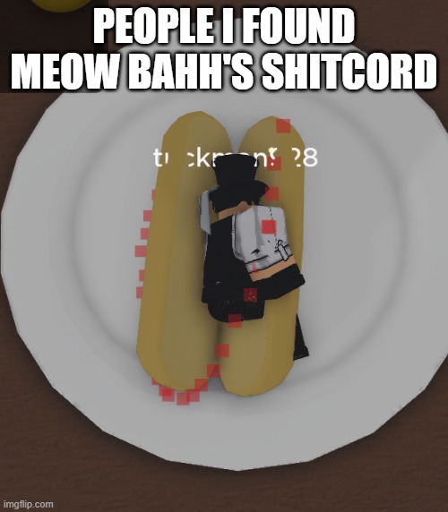 we RAID!!!!!!! | PEOPLE I FOUND MEOW BAHH'S SHITCORD | image tagged in tuckdog | made w/ Imgflip meme maker