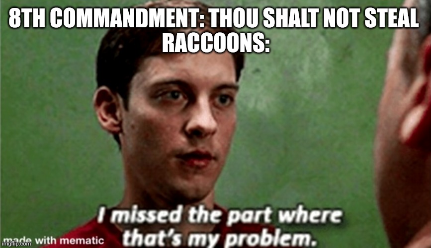8th commandment |  8TH COMMANDMENT: THOU SHALT NOT STEAL 
RACCOONS: | image tagged in tobey i missed the part where that's my problem,raccoon,ten commandments | made w/ Imgflip meme maker