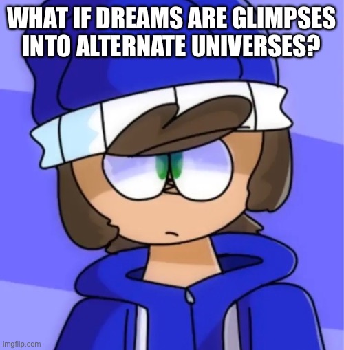 WHAT IF DREAMS ARE GLIMPSES INTO ALTERNATE UNIVERSES? | made w/ Imgflip meme maker