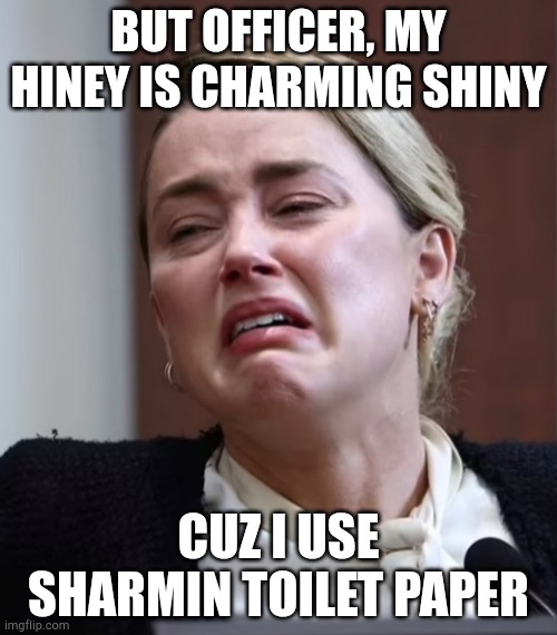 Turd | BUT OFFICER, MY HINEY IS CHARMING SHINY; CUZ I USE SHARMIN TOILET PAPER | image tagged in turd | made w/ Imgflip meme maker