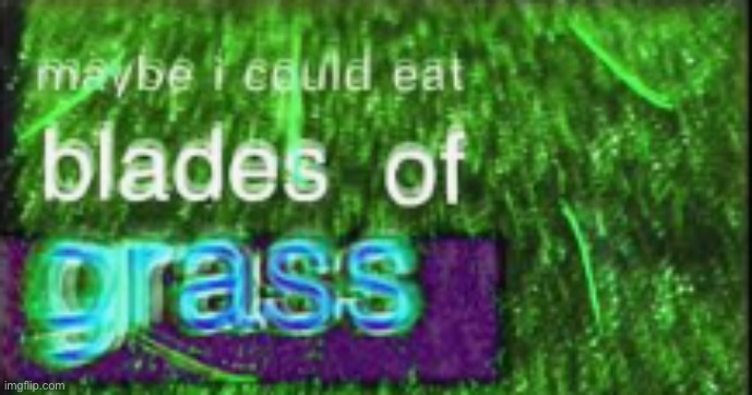 Maybe I could eat blades of grass | image tagged in maybe i could eat blades of grass | made w/ Imgflip meme maker
