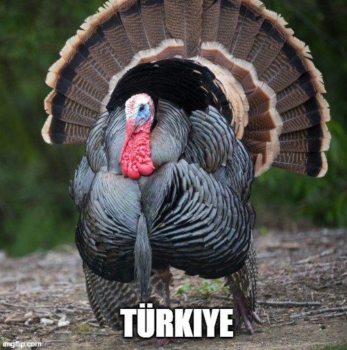 turkiye | TÜRKIYE | image tagged in turkey | made w/ Imgflip meme maker