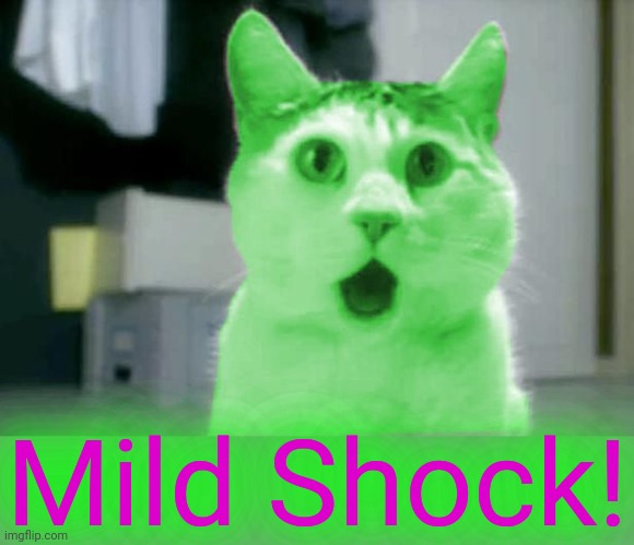 OMG RayCat | Mild Shock! | image tagged in omg raycat | made w/ Imgflip meme maker